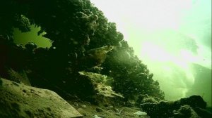 1000014598.mp4Волга гл.2м 2.08.04.2026г.