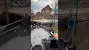 Сибирия на Волге