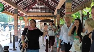 Сафари Паркъ Вьетнам 08.04.26.