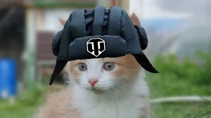 🎲Покатушечки С Подписчиками🎲Blitz Tanks Blitz Танкиблиц Танки Блиц Танк