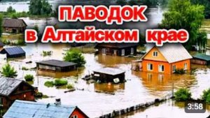 Паводок в Алтайском крае❗ Дома и дороги  уходят под воду❗ Эвакуация населения❗  Сегодня ЧП❗