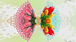 Весна! Очаровательные тюльпаны 3! Киностудия Мудрого Кота Тимофея!