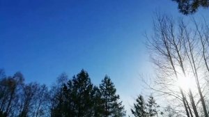 На Благую эту весть