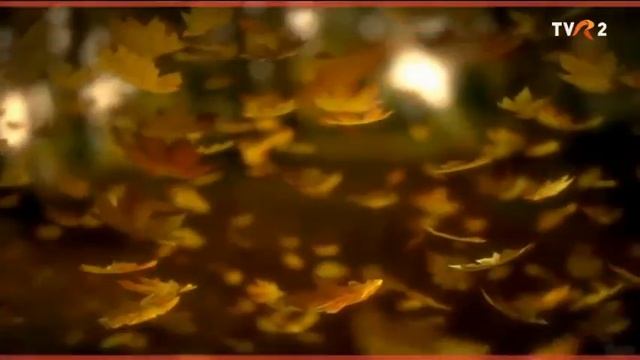 Начало эфира после профилактики (TVR 2 (Румыния), 08.04.2026)