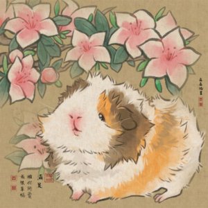 можно 100 подпишиков