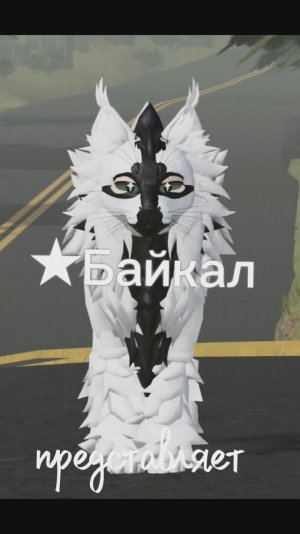 Как придумать имя коту воителю? Байкал расаажет{★Байкал}