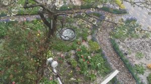 У природы нет плохой погоды...