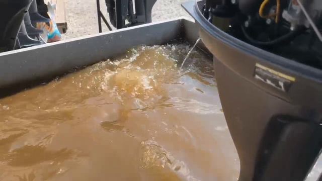 Арт 3693 Запуск лодочного мотора Yamaha F15, 2007 год.