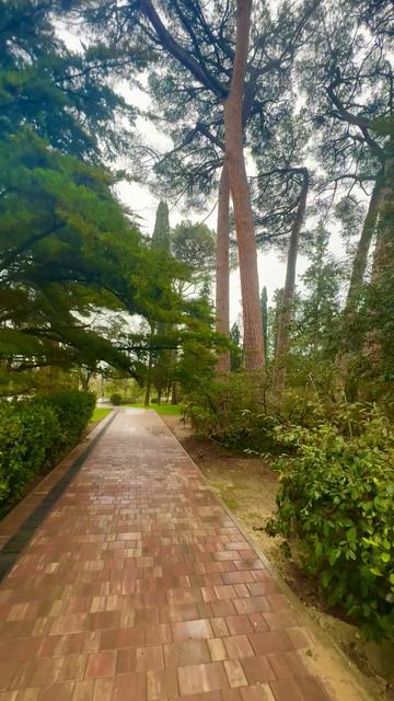 Массандровский парк в дождь весной