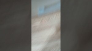 VID_20260408_121042.mp4