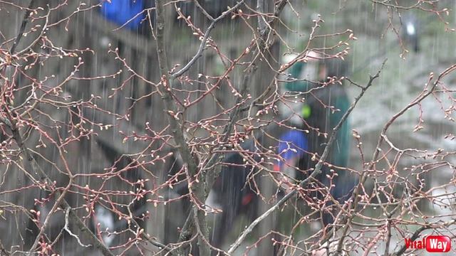 Град в Днепре 8 апреля 2026