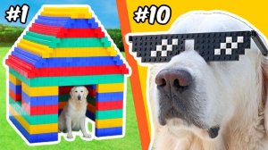 LEGO-постройки для СОБАКИ...