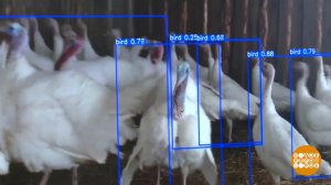 Как ИИ фермерам помогает. Доброе утро. Фрагмент выпуска от 08.04.2026