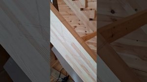 1000055349.mp4 (Собака наблюдает за устройством лестницы на 2-ой этаж в доме А-фрейм)