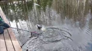 Продолжение рыбалки после запуска. Клёвое место, Лосиный остров, спорт-зона.