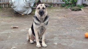 Стрим 8 апреля 2026 года.