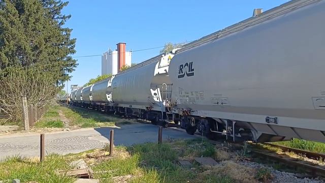 Чмуха в Сербии, Тепловоз 667  100-0 с хопперами