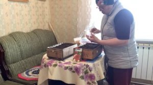 Посеяла томаты, для открытого грунта.