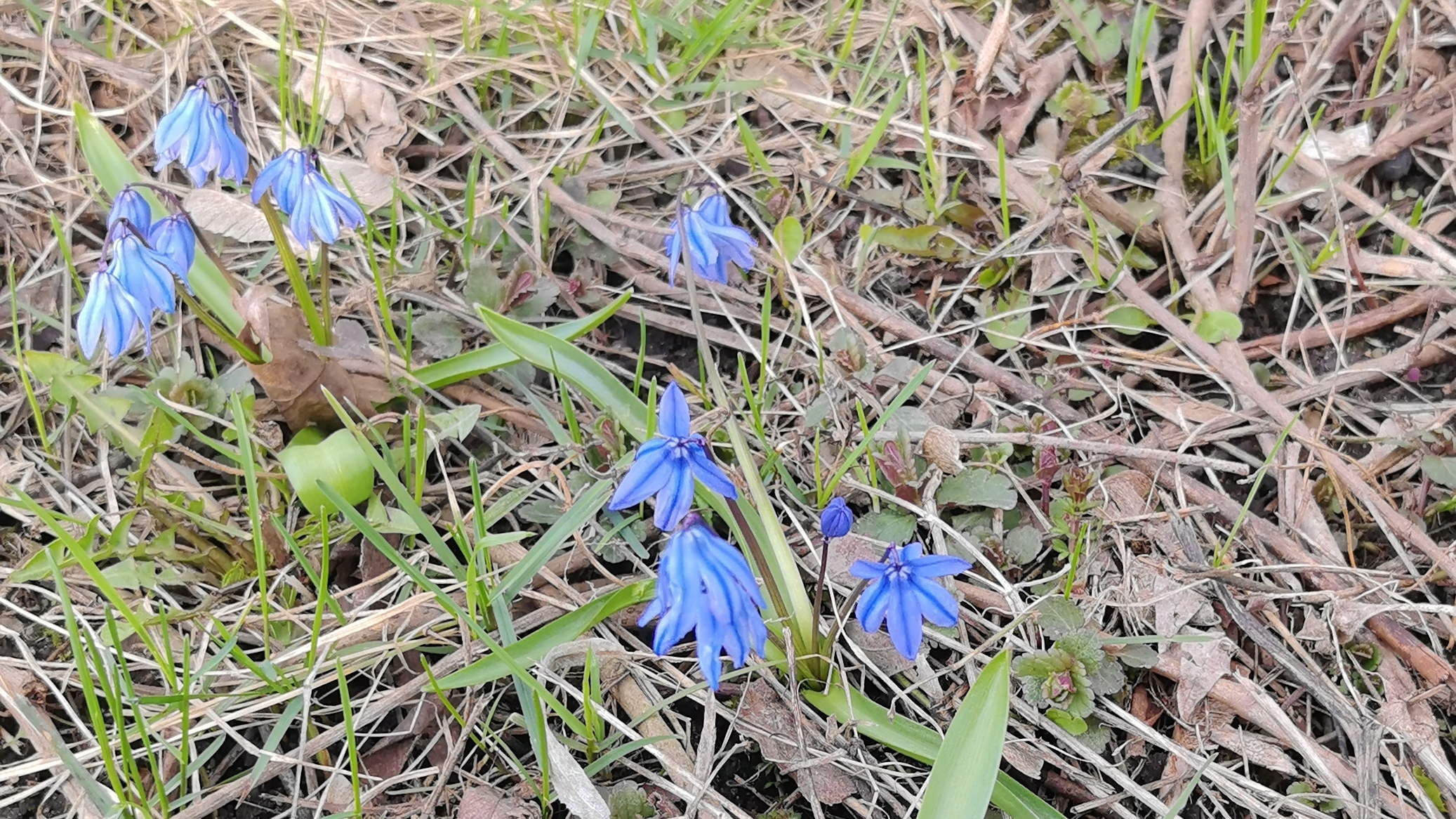 Выходные прошли не по плану...