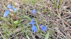 Выходные прошли не по плану...