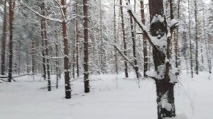 было снежно