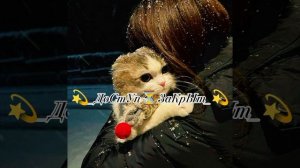 новая цыганская песня 2⁰2⁶📎🥺🥳😌🎉🥰😇
чекай описание лайк подписка 🌹💋❤️💫