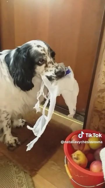 Некуда бежать...)))