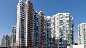 Квартира с видом на хвойный лес!