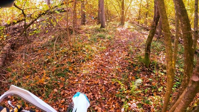 Топ райдеры на треке