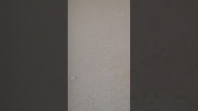 Document_5382152715528870624