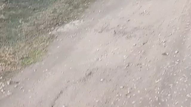 Отправляемся в магазин.