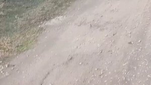 Отправляемся в магазин.