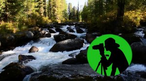 Атмосфера сибирской тайги / Рокот бурной реки и пение птиц / Звуки природы для отдыха и крепкого сна