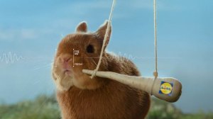 Lidl - The Beat of Freshness (2026)