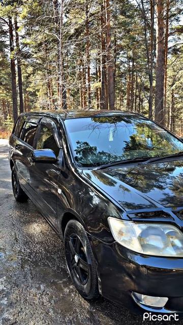 Тойота Филдер 120 черный