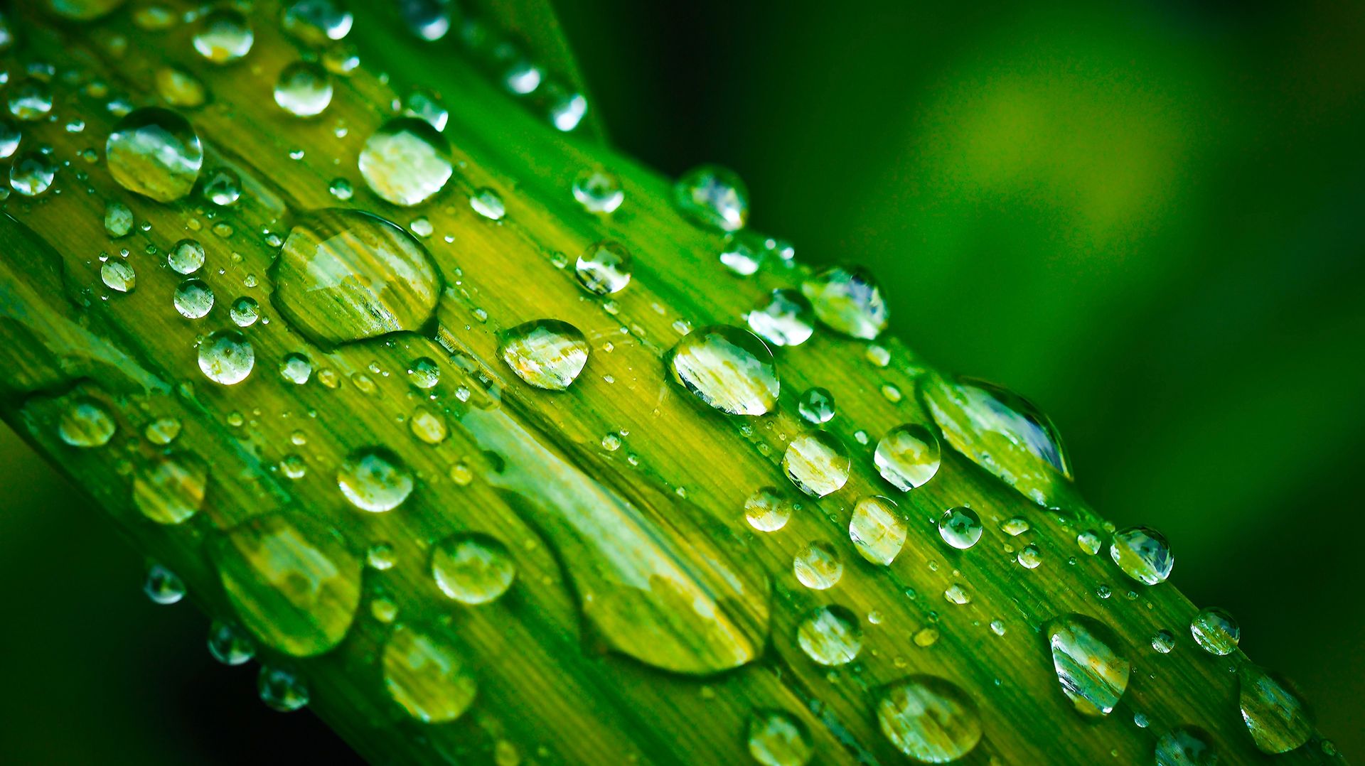 ☔️ УСПОКАИВАЮЩАЯ МУЗЫКА ДЛЯ СНА И ШУМ ДОЖДЯ В ПАЛАТКЕ 🎵 РАССЛАБЛЯЮЩАЯ МУЗЫКА ДЛЯ ДУШИ В ТРОПИКАХ