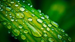 ☔️ УСПОКАИВАЮЩАЯ МУЗЫКА ДЛЯ СНА И ШУМ ДОЖДЯ В ПАЛАТКЕ 🎵 РАССЛАБЛЯЮЩАЯ МУЗЫКА ДЛЯ ДУШИ В ТРОПИКАХ