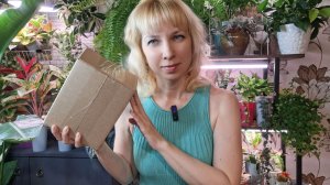 Посылочка с новыми растениями