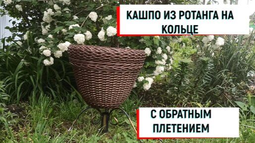 #кашпо КАШПО ИЗ РОТАНГА НА КОЛЬЦЕ С ОБРАТНЫМ ПЛЕТЕНИЕМ #кашпоизротанга #кашпосвоимируками #кашпособ