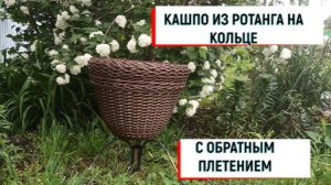 #кашпо КАШПО ИЗ РОТАНГА НА КОЛЬЦЕ С ОБРАТНЫМ ПЛЕТЕНИЕМ #кашпоизротанга #кашпосвоимируками #кашпособ