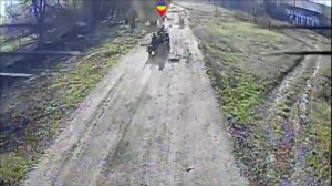 🎮Наша птичка догнала ВСУшников, у которых плохо с инстинктом самосохранения…❌