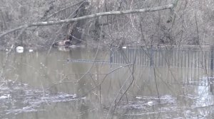 VID_20260408_120747.mp4