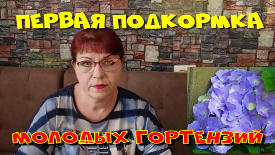 ПЕРВАЯ ПОДКОРМКА МОЛОДЫХ ГОРТЕНЗИЙ
