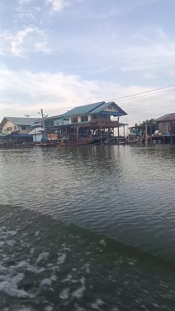 Лодка приплыла — и начался обезьяний переполох