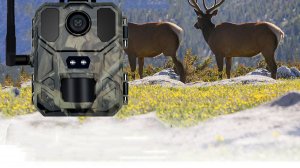 Отвечаю на вопросы про фотоловушку SuntekCam MINI900Pro