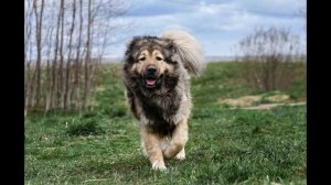 Чтоб услышать команду «Отбой!»Нет больше заводов - раскатали.