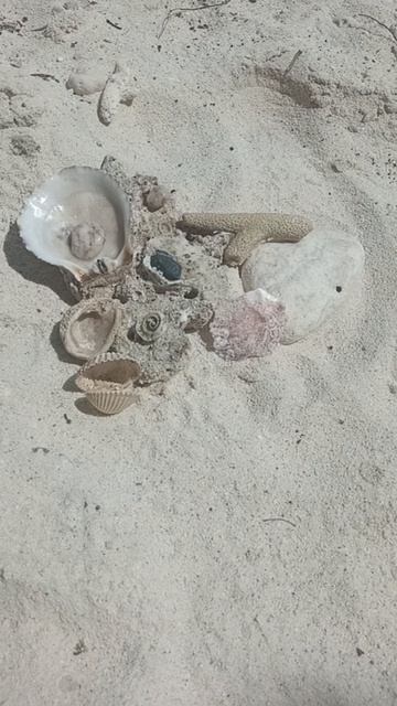 Море чистое. Песок белый