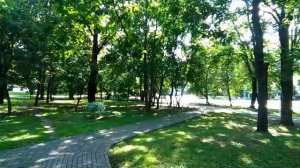 Тестовая трансляция