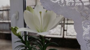 02.04.26/медкомиссия/жить буду🌞 работать можно😁