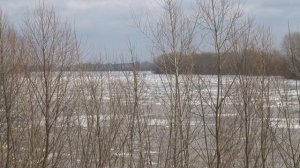 Частичную эвакуацию из-за разлива Бии объявили в Бийском районе (08.04.26г., Бийское телевидение)